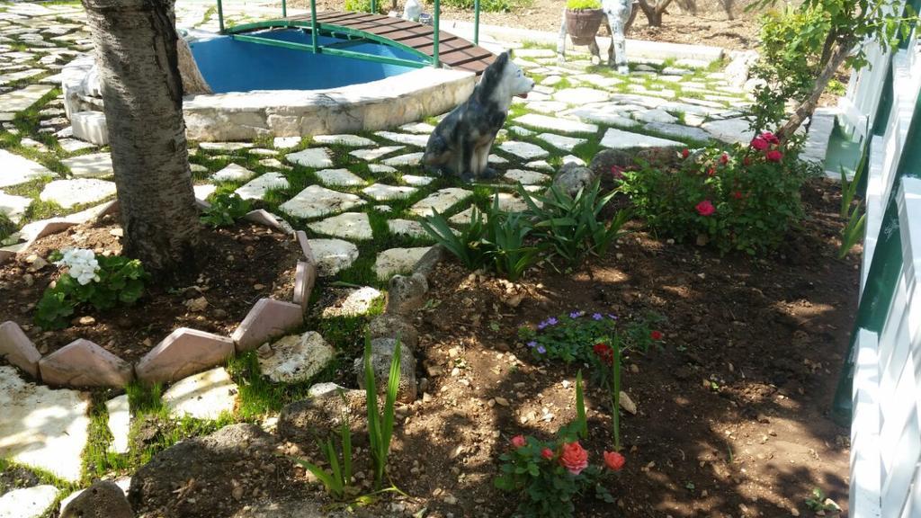 Apartments Matko Makarska Ngoại thất bức ảnh